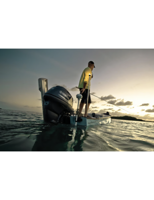 Moteur arrière Riptide Transom MinnKota - Natusport