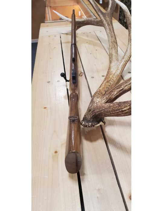 ROBUST  JUXTAPOSE EN CALIBRE 16/65