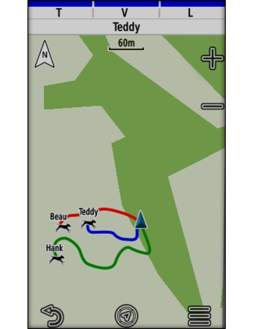 Pack GPS Garmin Alpha 200F Plus T20 - Natusport 2