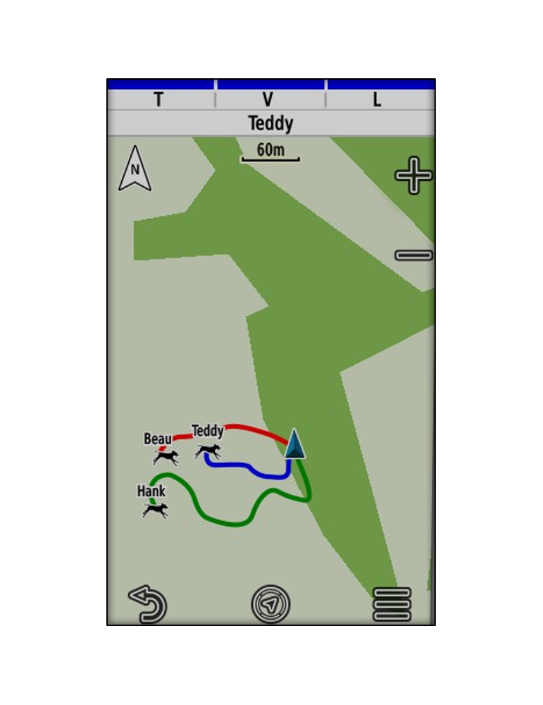 GPS Garmin Alpha 200 Plus F - Natusport