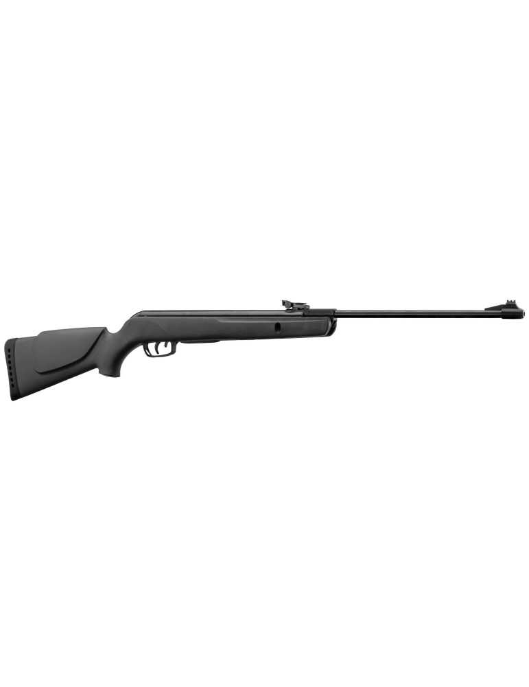 Gamo Big Cat 1000E Noire 19.9J - Natusport