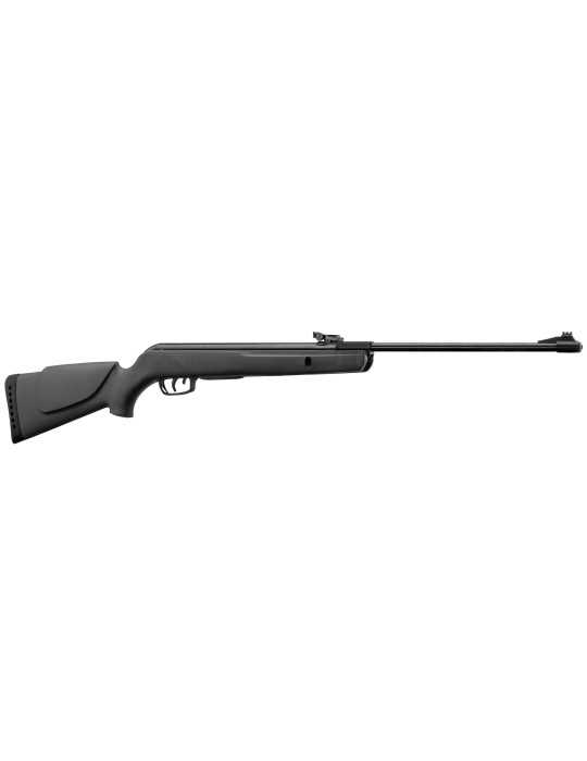 Gamo Big Cat 1000E Noire 19.9J - Natusport