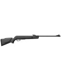 Gamo Big Cat 1000E Noire 19.9J - Natusport
