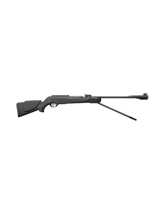 Gamo CFX canon fixe 19.9 J - Natusport