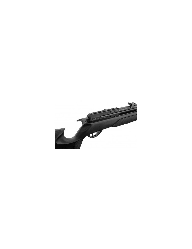 Carabine PCP GAMO Arrow 4,5 mm 19,9J-Natusport