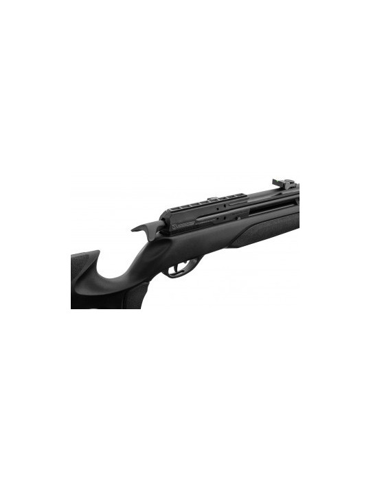 Carabine PCP GAMO Arrow 4,5 mm 19,9J-Natusport
