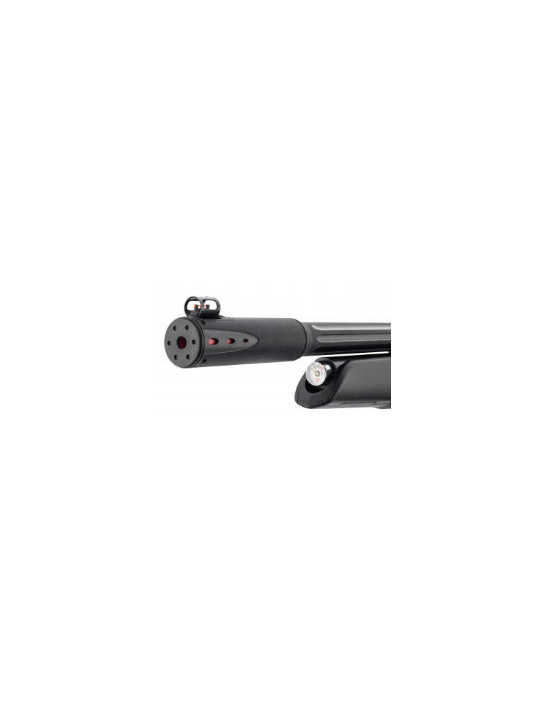 Carabine PCP GAMO Arrow 4,5 mm 19,9J-Natusport