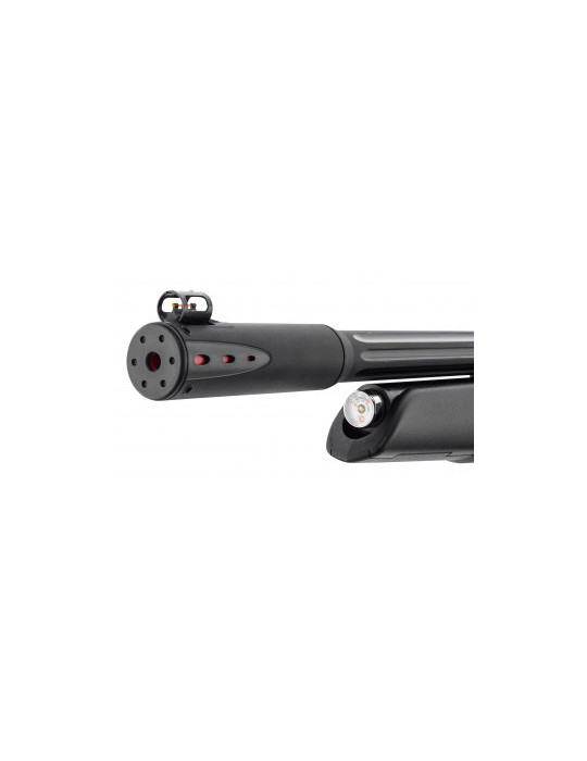 Carabine PCP GAMO Arrow 4,5 mm 19,9J-Natusport