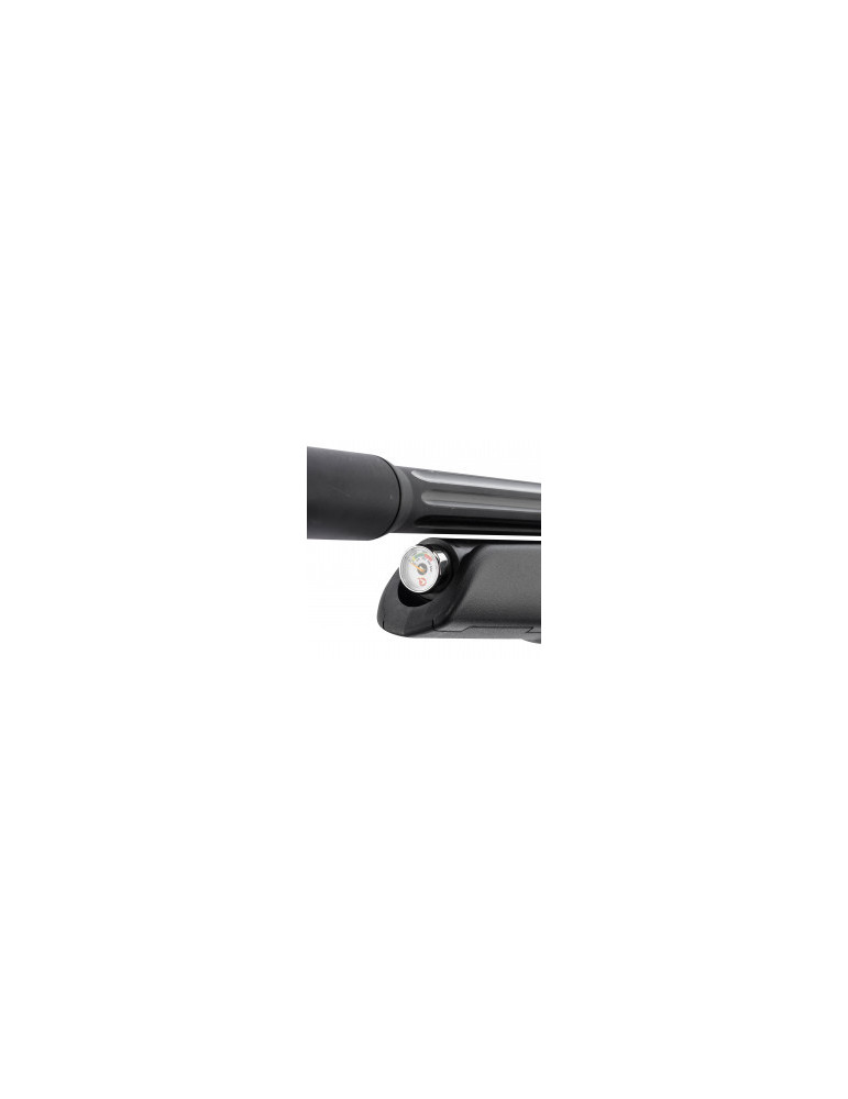 Carabine PCP GAMO Arrow 4,5 mm 19,9J-Natusport