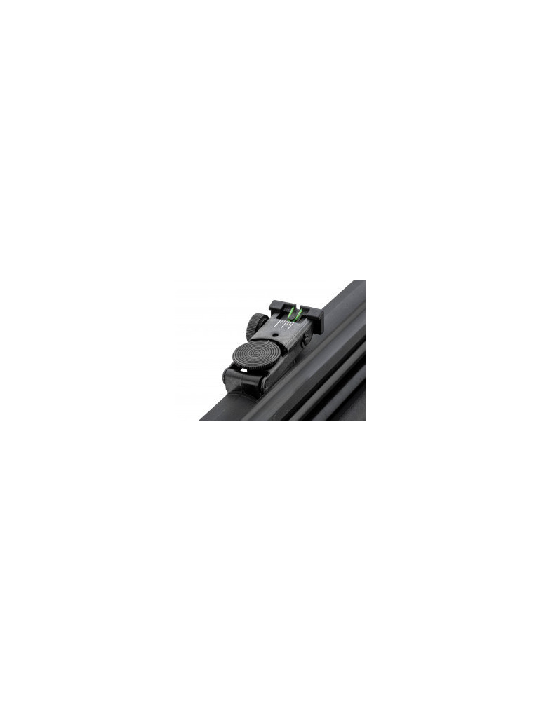 Carabine PCP GAMO Arrow 4,5 mm 19,9J-Natusport