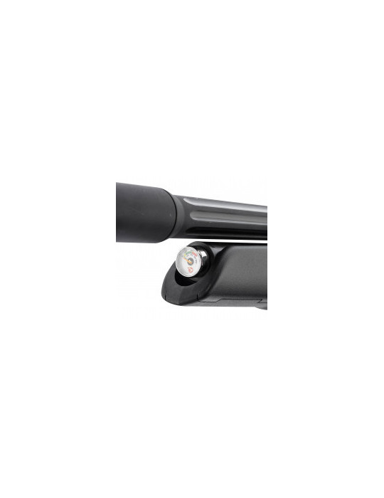 Carabine PCP GAMO Arrow 5,5 mm 19,9J + Lunette 3-9X40xr-Natusport