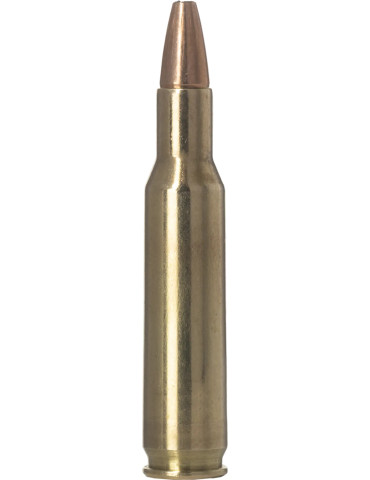 Norma Varmint Xtreme 222 Rem 55 grains 2