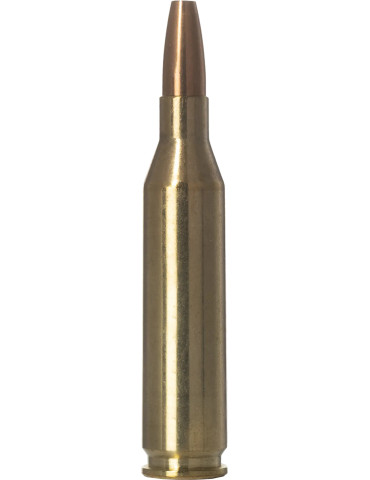 Norma Vermint Xtreme 243 Win 76 grains 2
