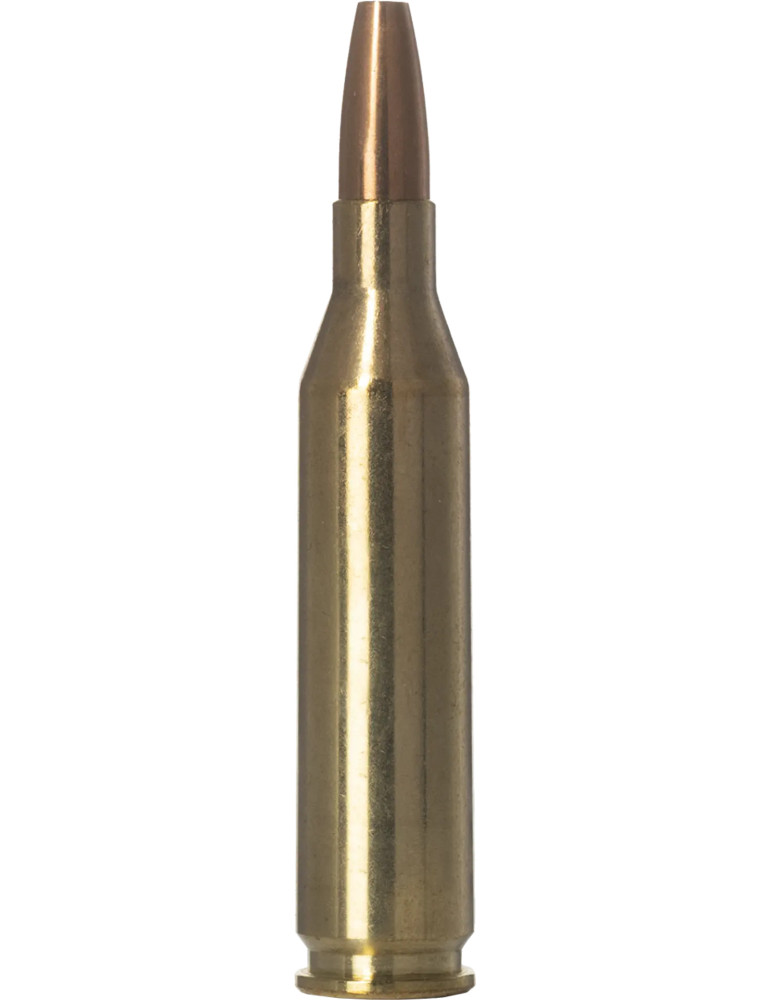 Cartouches NORMA .243 Win 76 gr VerminXtreme x20 - Natusport
