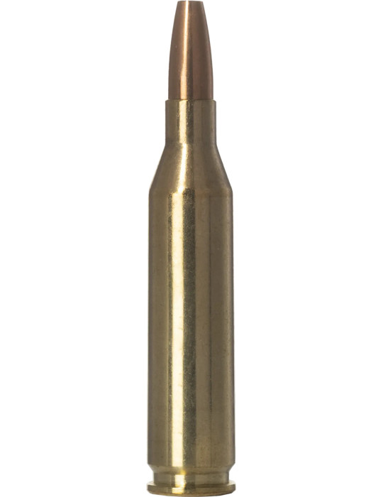Cartouches NORMA .243 Win 76 gr VerminXtreme x20 - Natusport