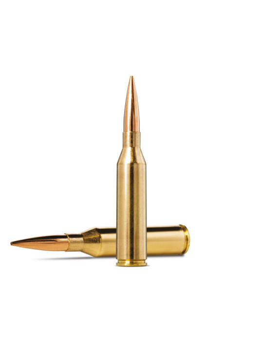 Norma 6.5 Creedmoor Golden Target 130gr boîte de 20 - Natusport