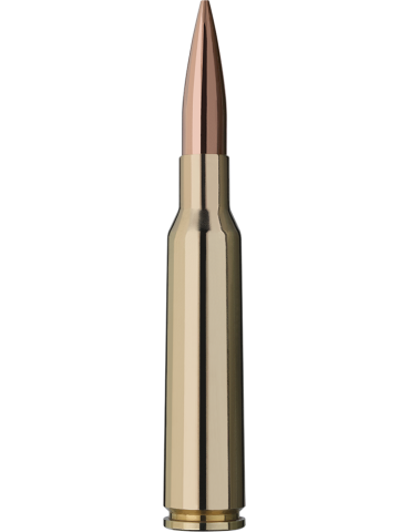 RWS Target Elite Plus 6.5 Creedmoor 143 grains 2