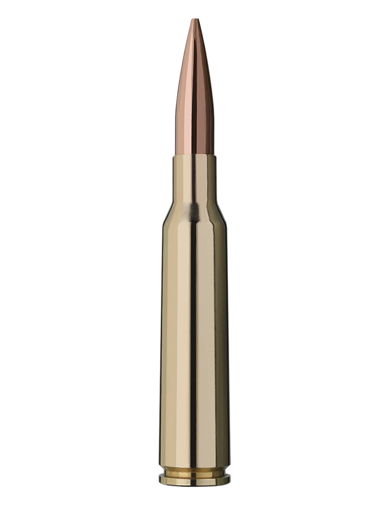 RWS Target Elite Plus 338 lapua Mag 250 grains