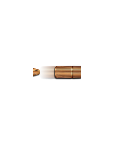 GECO Plus 8x57 JS 196 grains 2