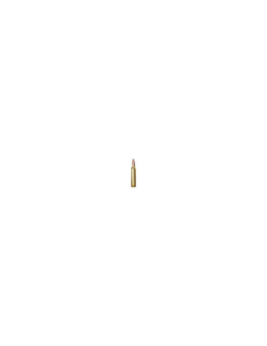 Winchester 6.5x55 SWD 140 grains