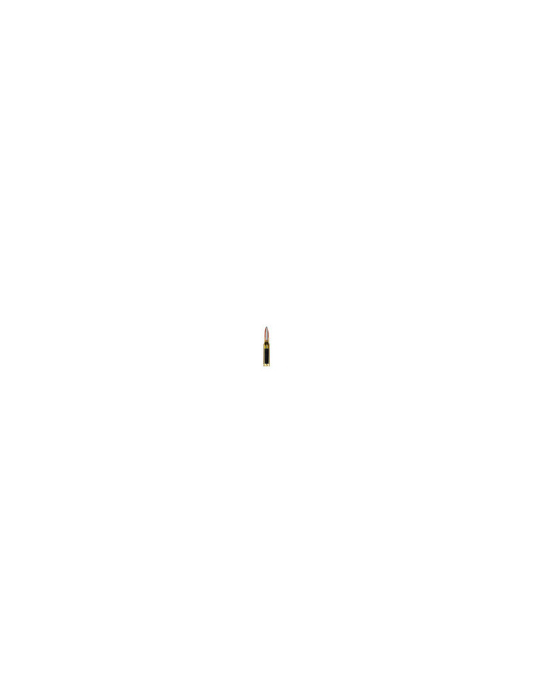 Winchester 6.5x55 SWD 140 grains