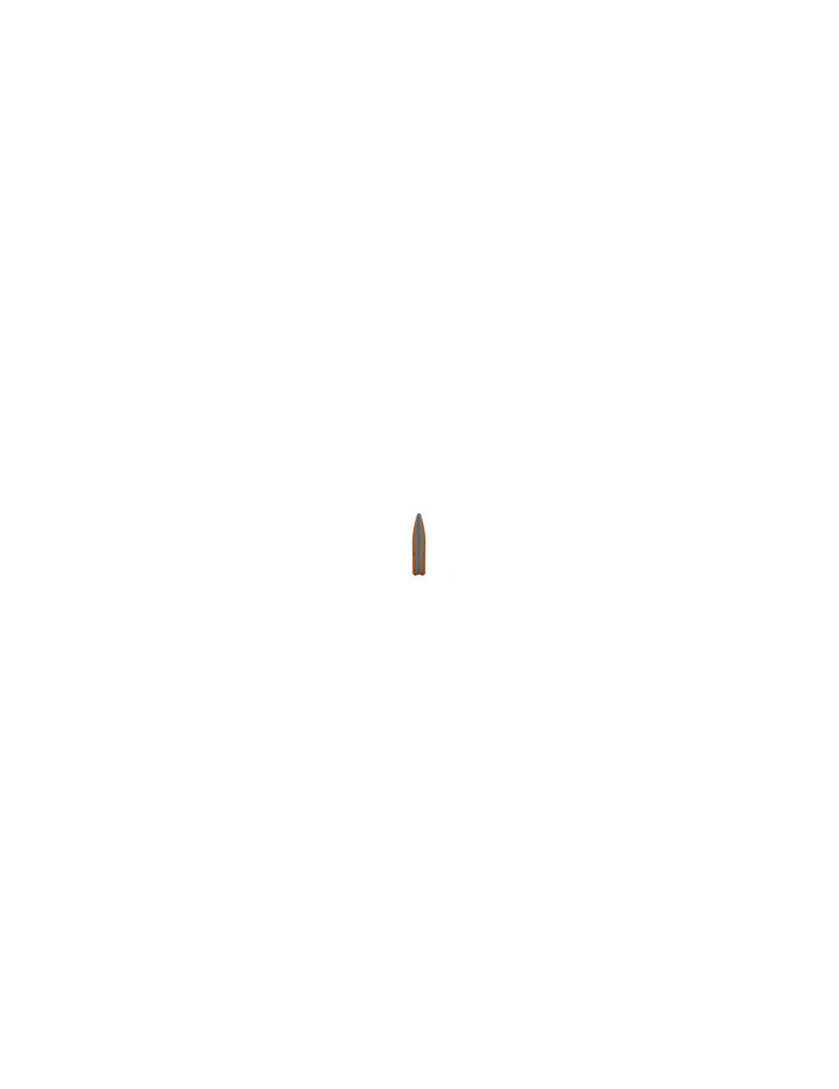 Winchester Power-Point 6.5x55 SWD 140 grains