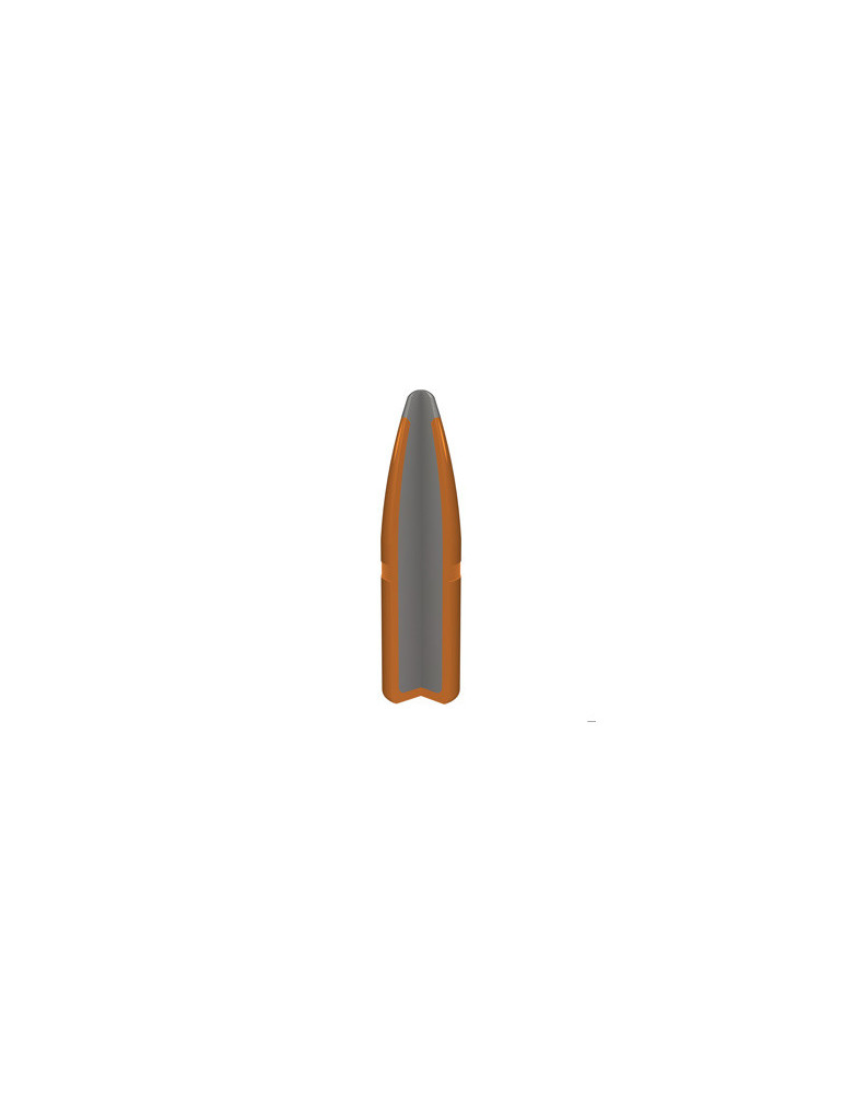Winchester Power-Point 30-06 180gr - Natusport