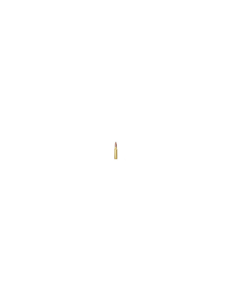 Winchester Power-Point .308 Win 150gr - Natusport