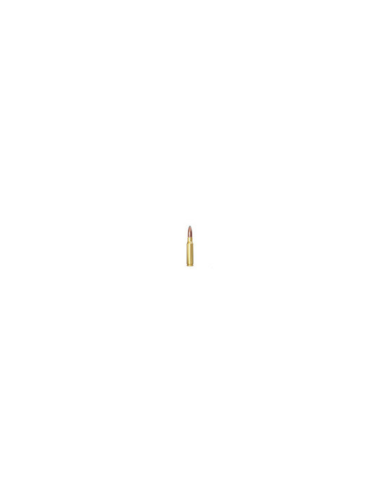 Winchester Power-Point .308 Win 150gr - Natusport