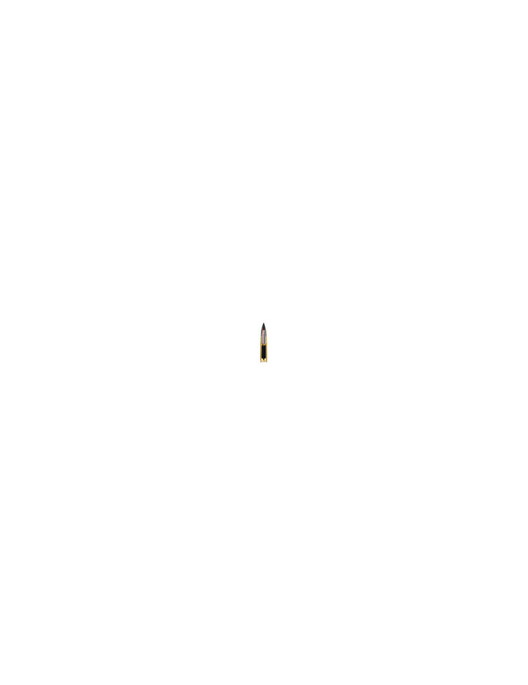 Winchester .300 BLK. Extreme point 150 gr