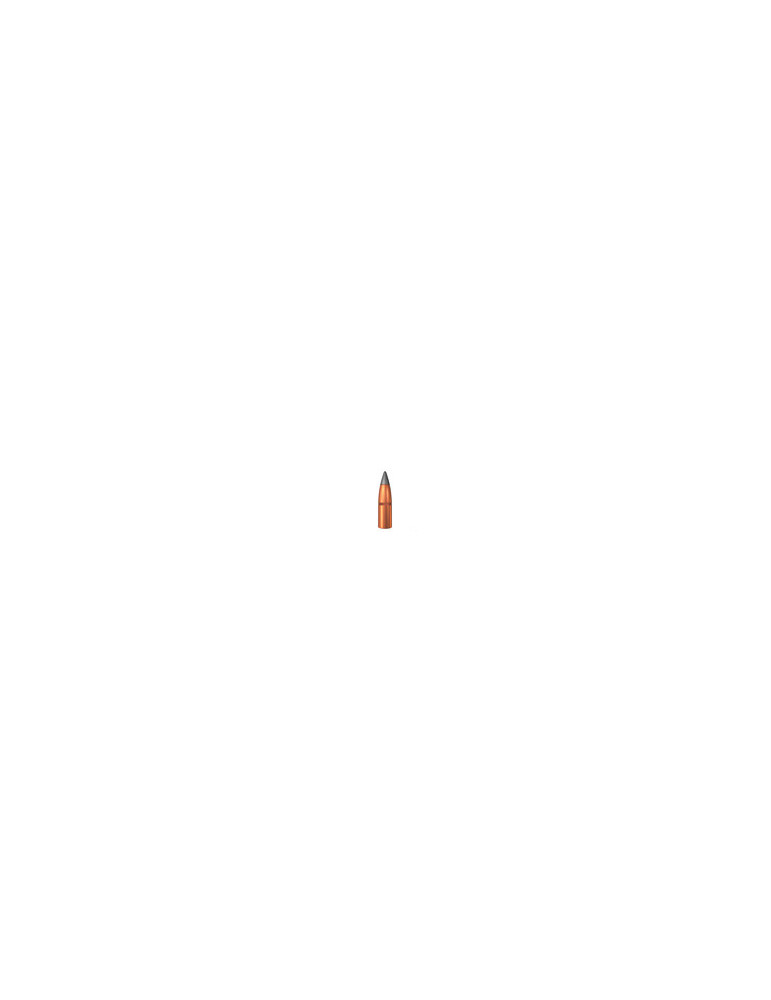 Winchester Extreme - Point .243 Win. 95 grains