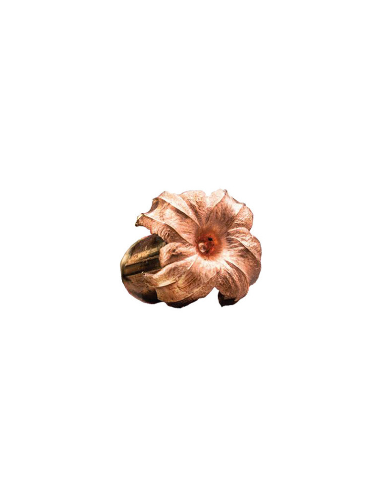 Winchester Extreme-Point Copper Impact 6.5 Creedmoor 120 grains