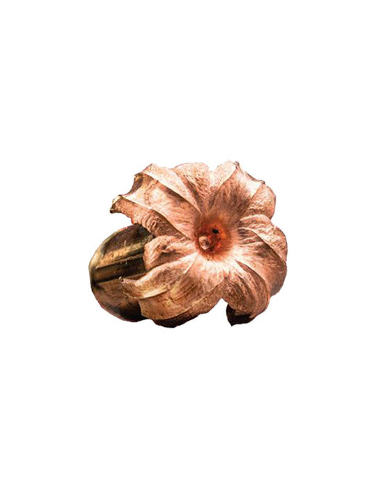Winchester Extreme-Point Copper Impact 270WSM 130 grains sans plomb