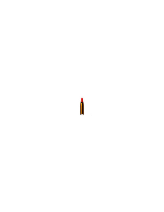Winchester Copper Force 308 Win 125 grains sans plomb