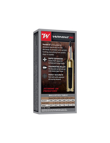 Winchester Varmint X 22-250 Rem 55 grains 2