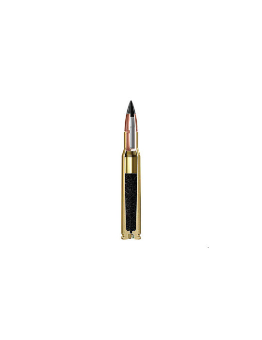 Winchester Varmint X 22-250 Rem 55 grains