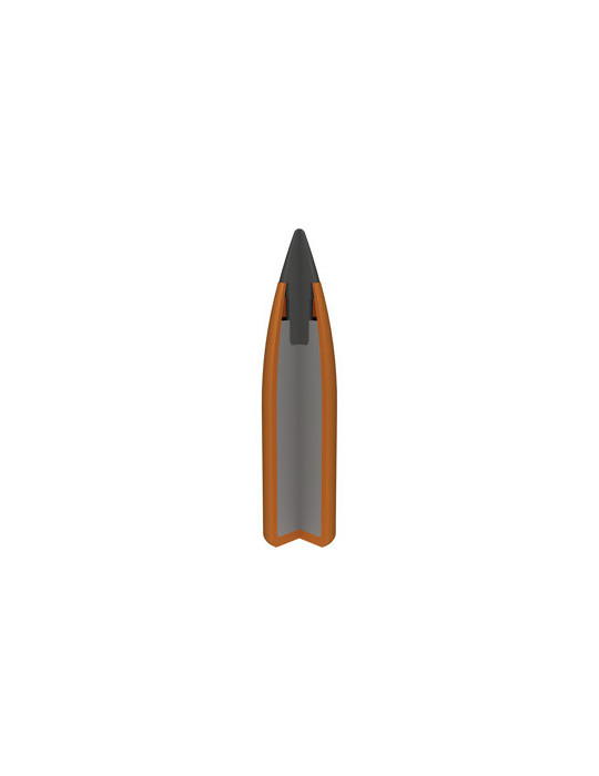 Winchester Varmint X 22-250 Rem 55 grains