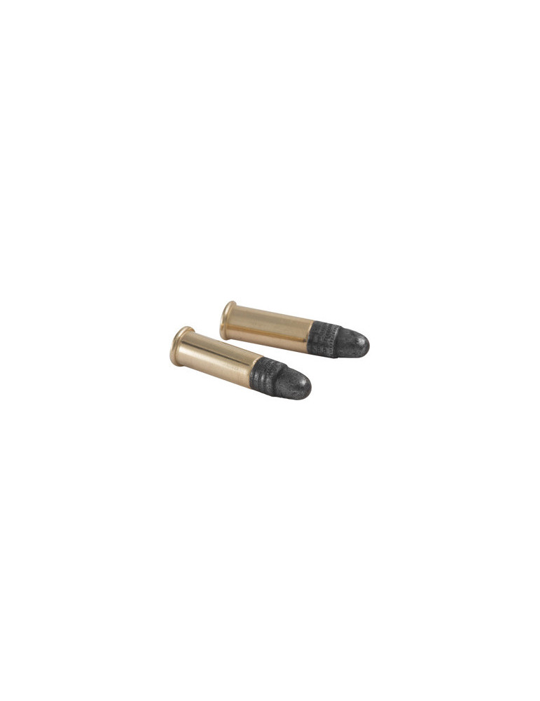 Winchester STD Velocity 22 LR 45 grains