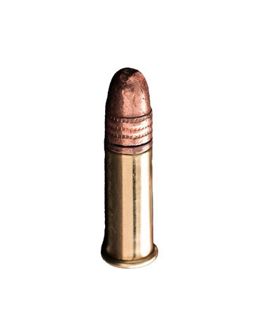Winchester Wildcat 22 LR Dynapoint 40 grains 2