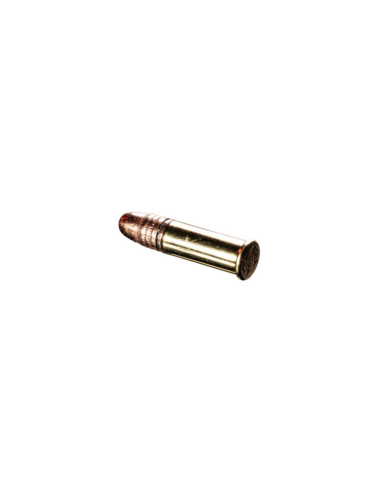 Winchester Wildcat 22 LR Dynapoint 40 grains