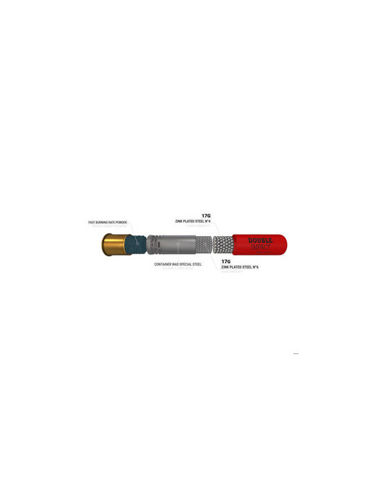 Winchester Double Impact Cal 12/76 acier