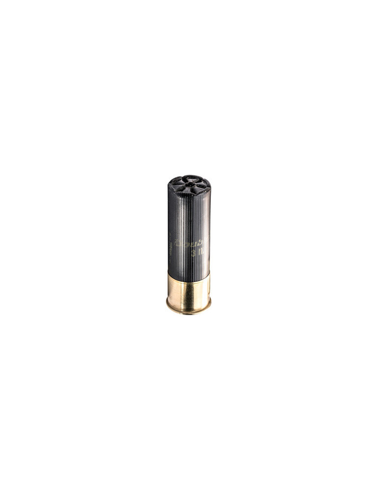 Winchester Double X Buckshot Magnum 12/76 41 gr