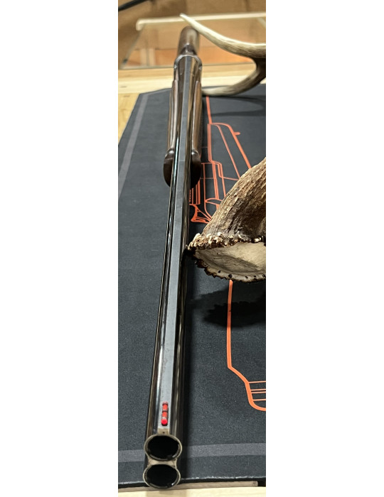 Franchi elegante 20/76 71 cm - Natusport