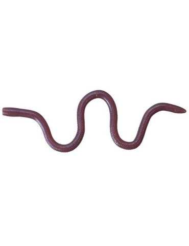 Leurre Souple O.S.P Mimizu Small Isomen TW203 – natusport 2