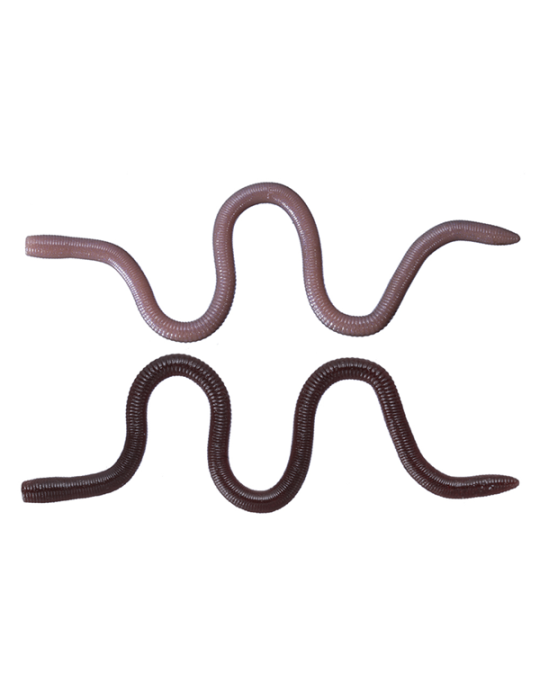 Leurre Souple O.S.P Mimizu Small W050 – natusport