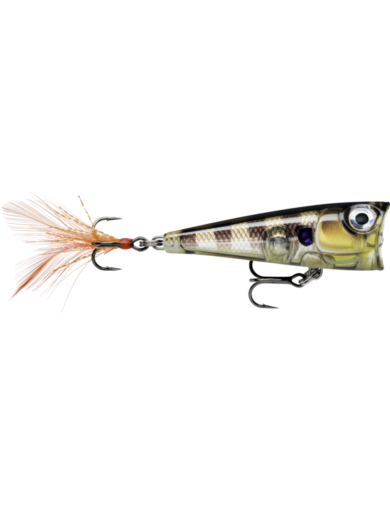 Leurre Dur Rapala X-Light Pop 04 Lime Frog