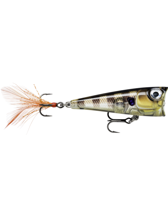 Leurre Dur Rapala X-Light Pop 04 Lime Frog