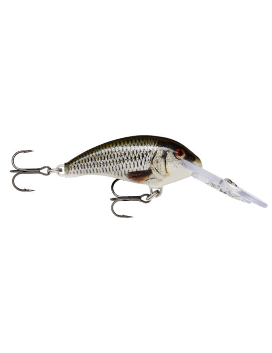 Leurre Dur Rapala Shad Dancer 5 cm Live Roach – natusport
