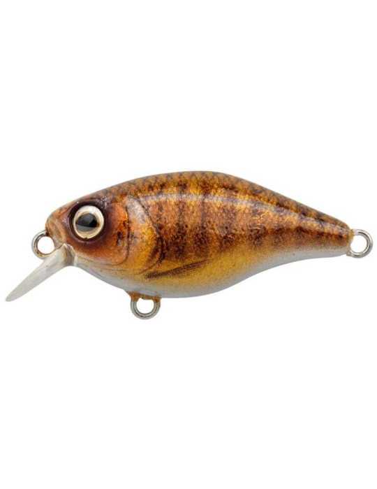 Leurre Dur Spro Ikiru Crank Pompano 38 SL – natusport