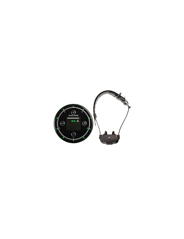 Système anti-fugue sans fil CANIFUGUE FUG10344 (borne sans fil+collier )